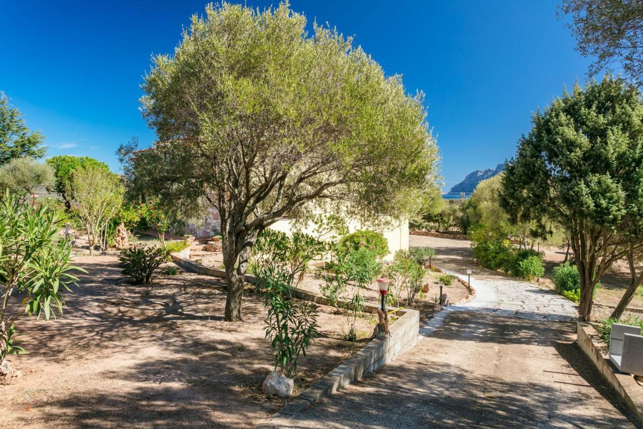 Casa Relax Apartment Porto San Paolo  Ngoại thất bức ảnh